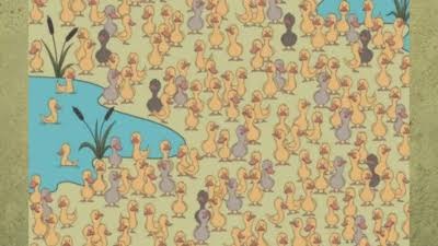 images (42)