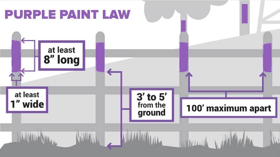 purple-paint-law