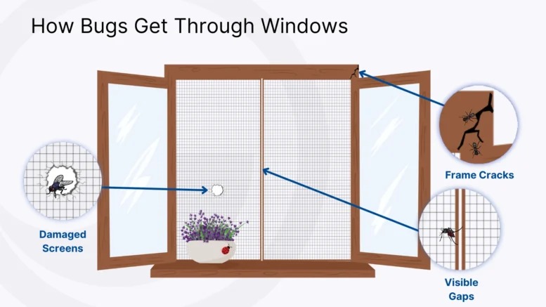 How-to-Prevent-Bugs-from-Coming-Through-Windows-1-777x437